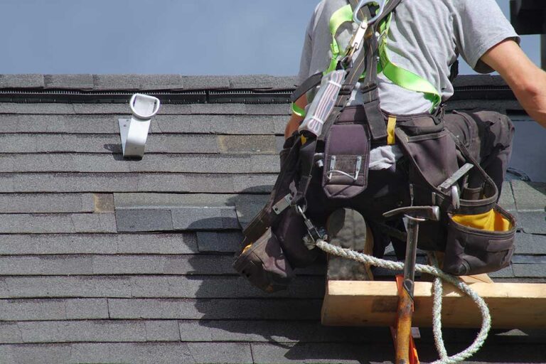 Residential roof with solar panels, visible shingles, gutters, and light snow along the roof edge.
